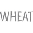 WHEAT - RIB LEGGINGS