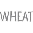 WHEAT - THILDE THERMO JACKET