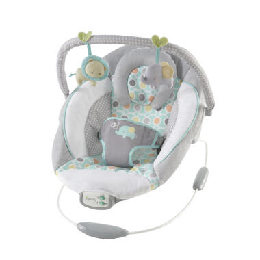SOOTHING BOUNCER - MORRISON