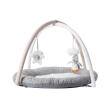 NUBY - PLAY ACTIVITY GYM