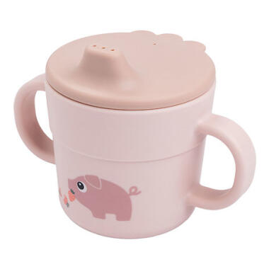 FOODIE SPOUT CUP