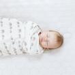 ERGOBABY - SWADDLER ELEPHANT